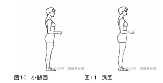 西藏自治區(qū)2025年普通高等學(xué)校招生藝術(shù)類（表<導(dǎo)>演類）專業(yè)報(bào)考簡介