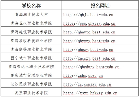 關(guān)于做好2025年青海省高職院校分類(lèi)考試招生工作的通知